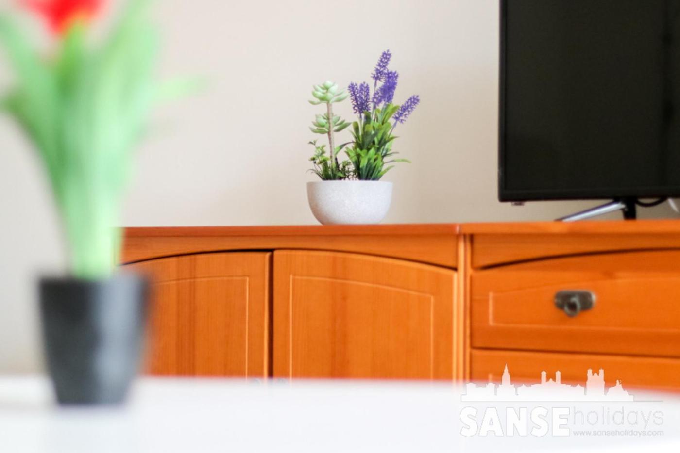 Apartamento Colon By Sanse Holidays Сан Себастиан Екстериор снимка